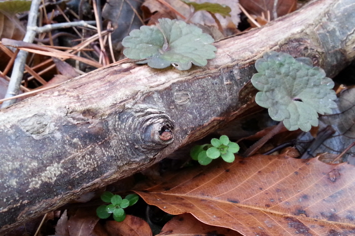 크기변환_2320130121_130116.jpg