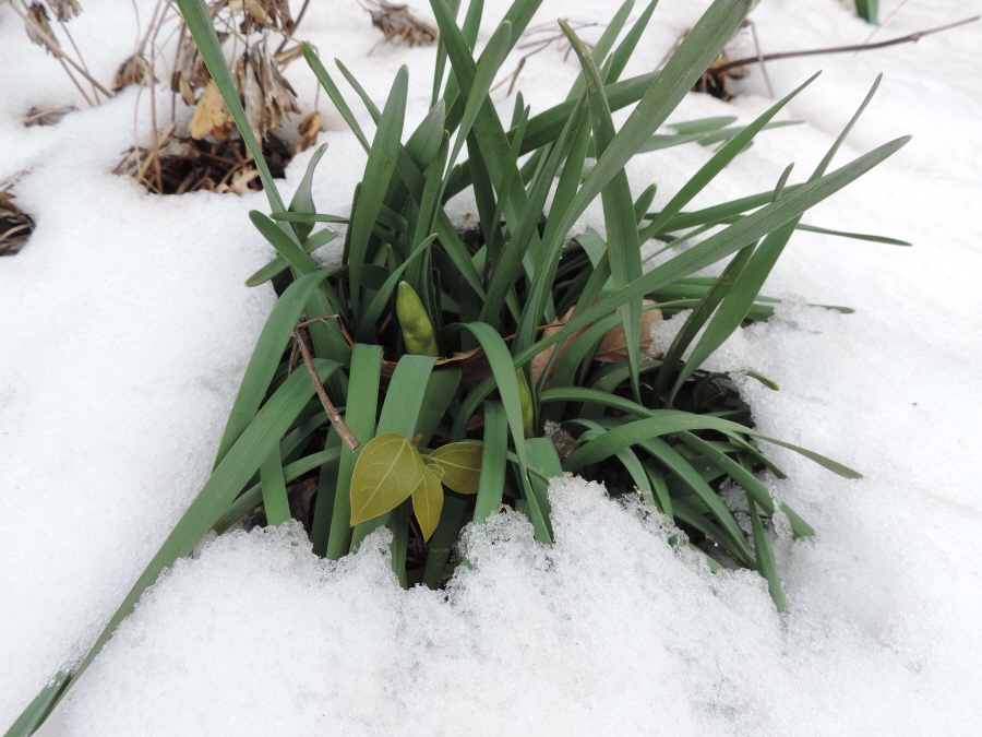 DSCN9338.JPG