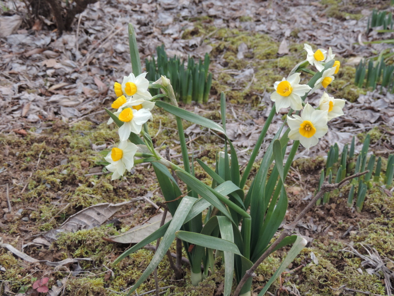 DSCN9743.JPG