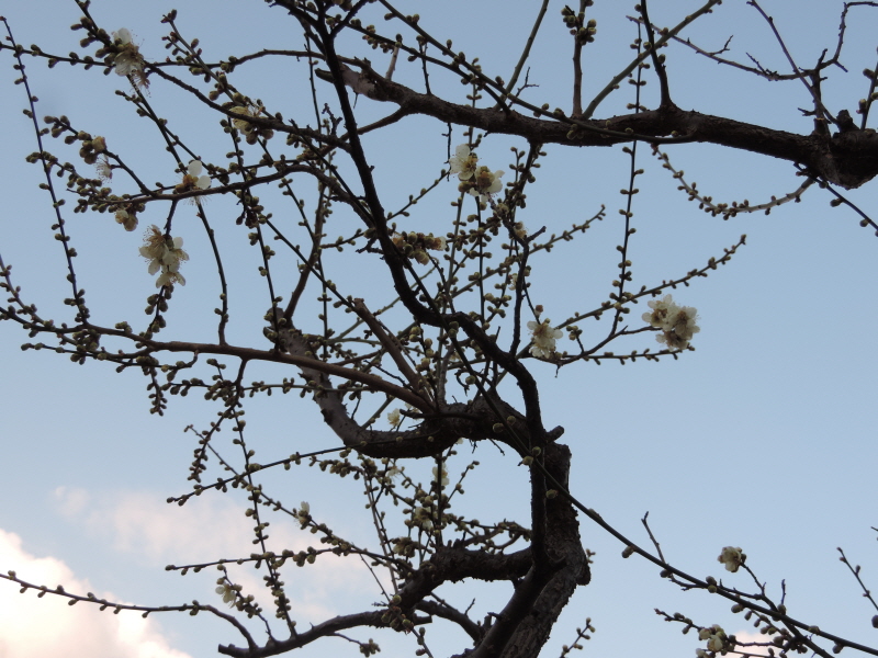 DSCN9745.JPG