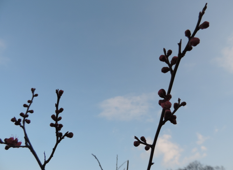 DSCN9751.JPG