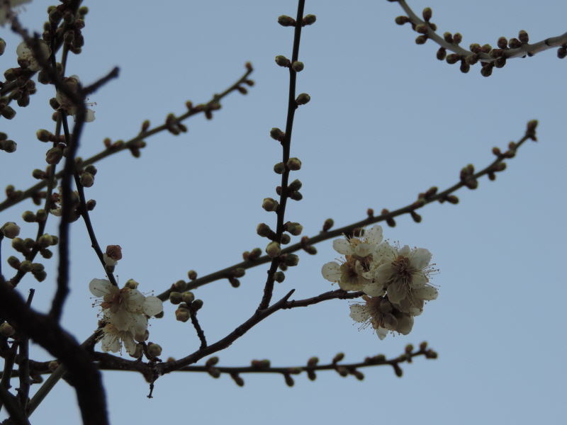 DSCN9748.JPG