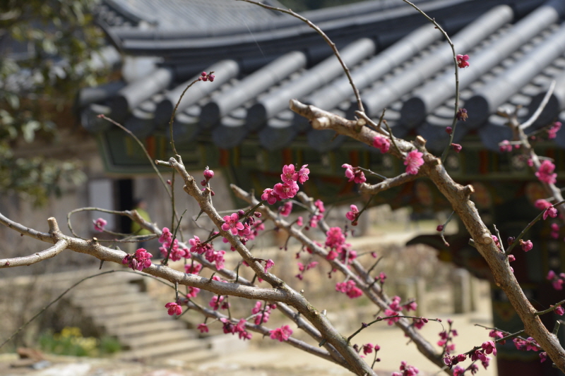 크기변환__DSC0426.JPG
