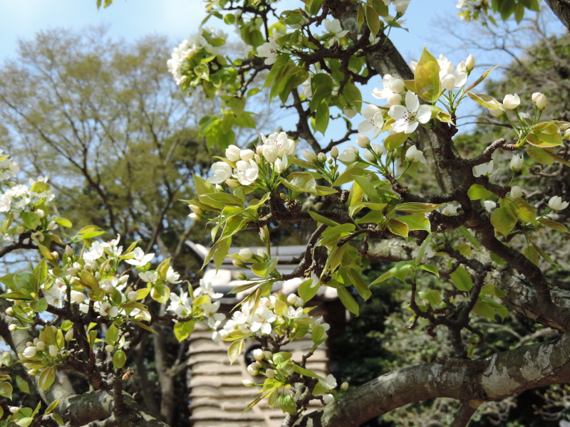 DSCN7089.JPG
