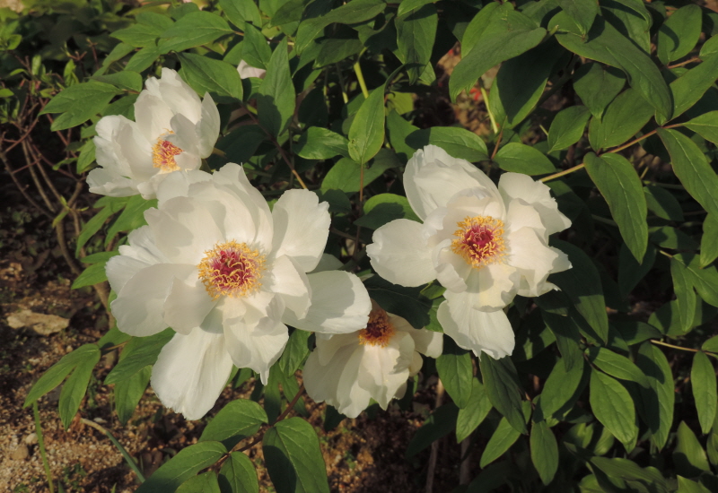 DSCN7573.JPG