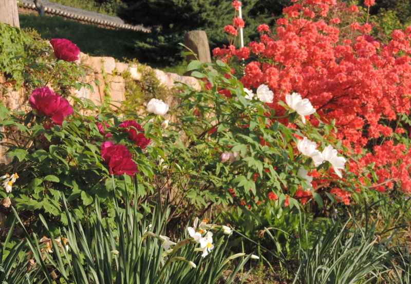 DSCN7590.JPG