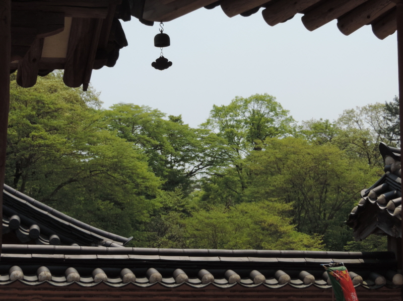 DSCN7614.JPG