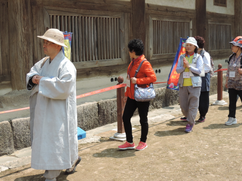 DSCN7611.JPG