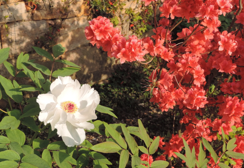 DSCN7572.JPG