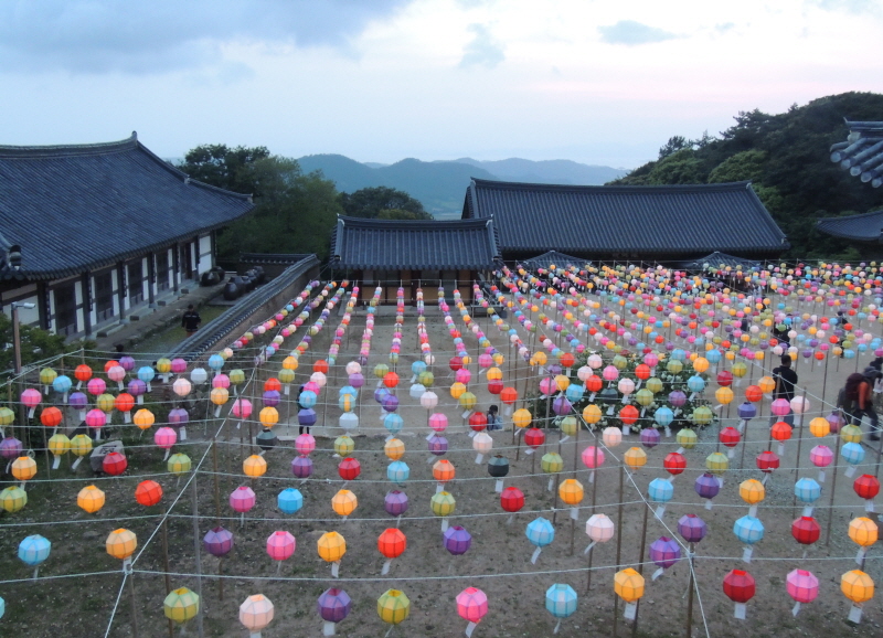 DSCN6705.JPG