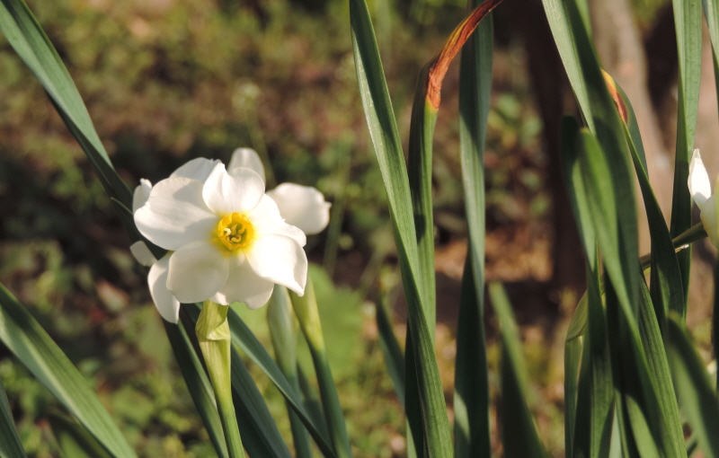 DSCN7585.JPG