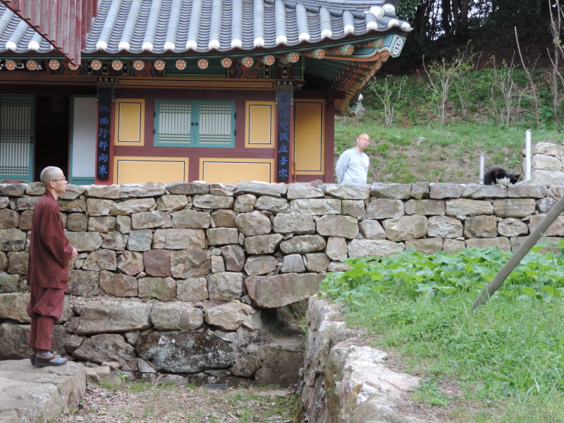 DSCN7036.JPG