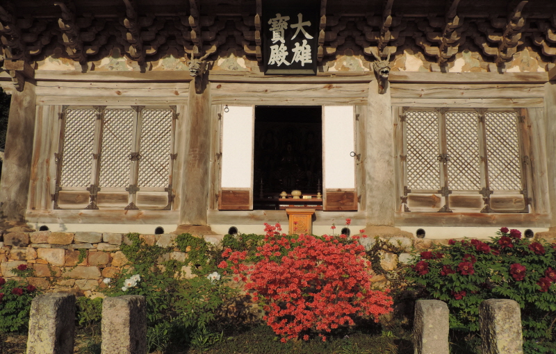 DSCN7577.JPG