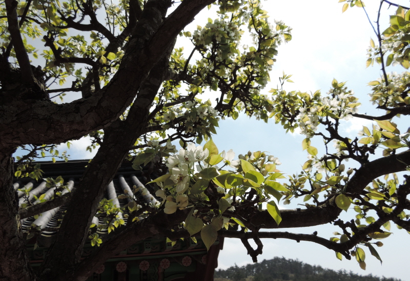 DSCN7092.JPG