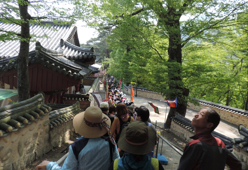 DSCN7649.JPG