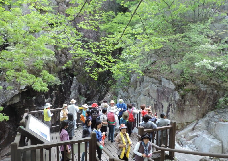DSCN7705.JPG