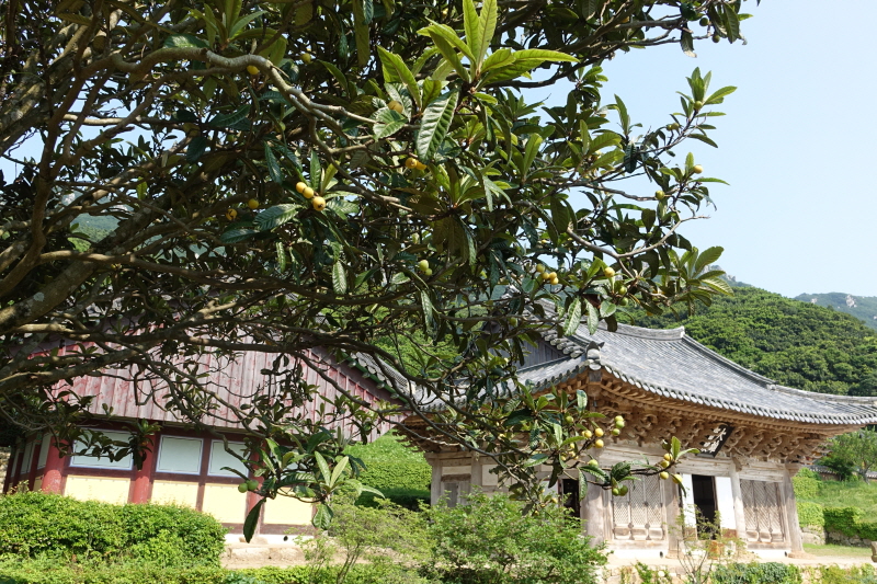 DSC07156.JPG