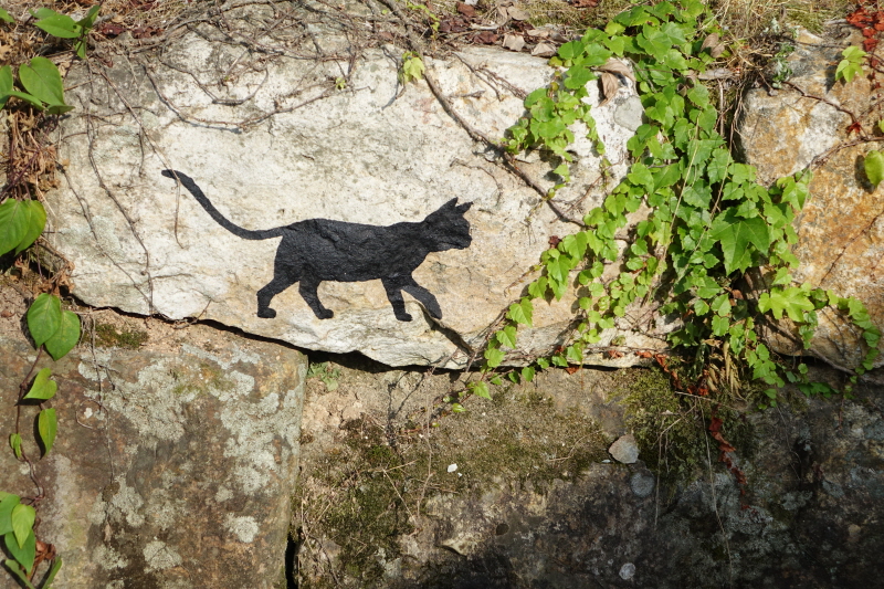 _DSC03901.JPG