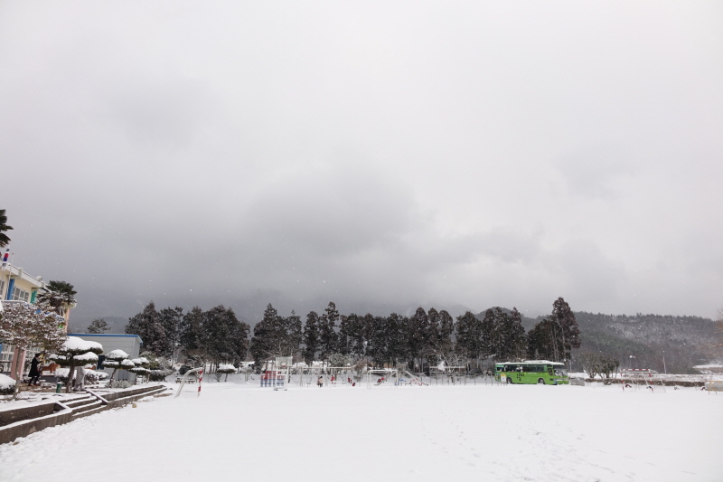 _DSC01445.JPG