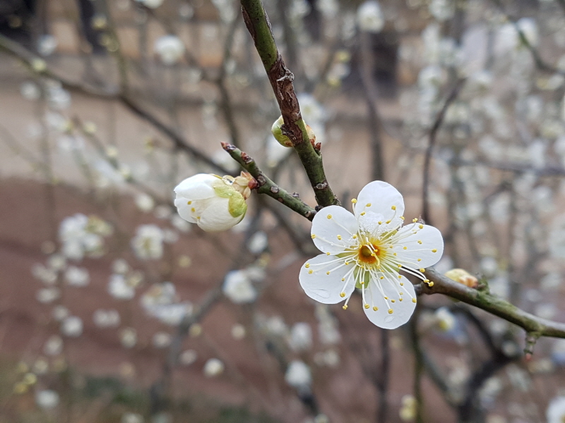 _20170307_112201.jpg