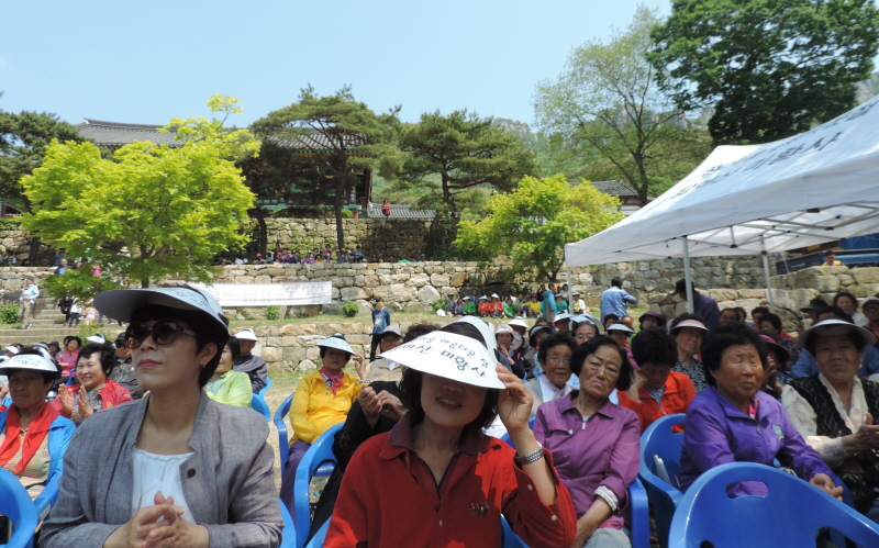 _DSCN9487.JPG