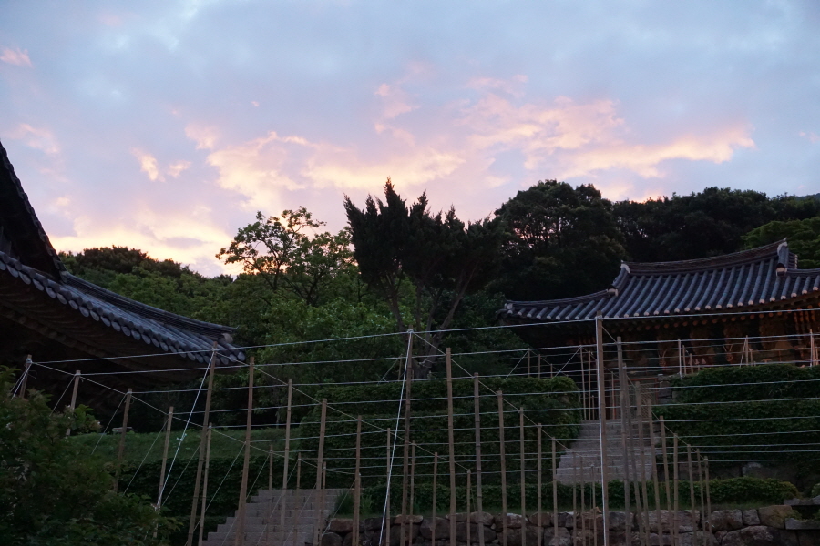 DSC06582.JPG