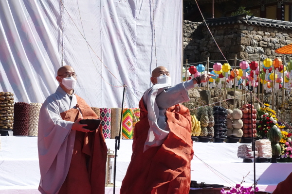 DSC05391.JPG