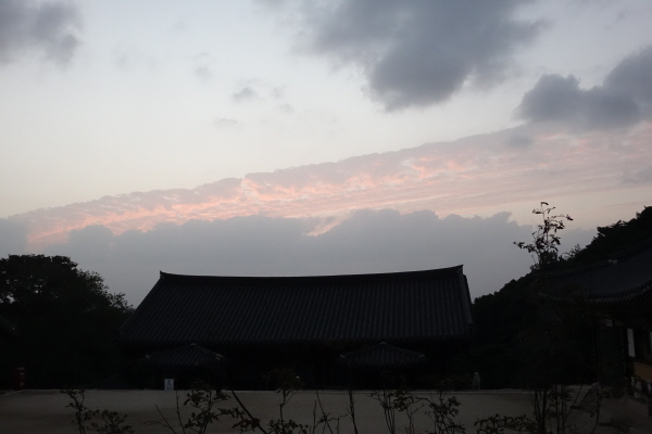 DSC05287.JPG