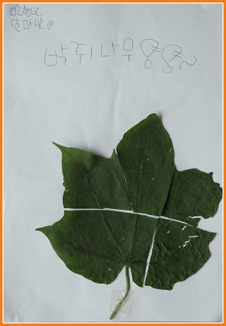 생태체험-녀석들이 생태체험 시간에 맞추기 한
나뭇잎 퍼즐입니다.
미황사와 달마산은 신나는 놀이터 입니다
