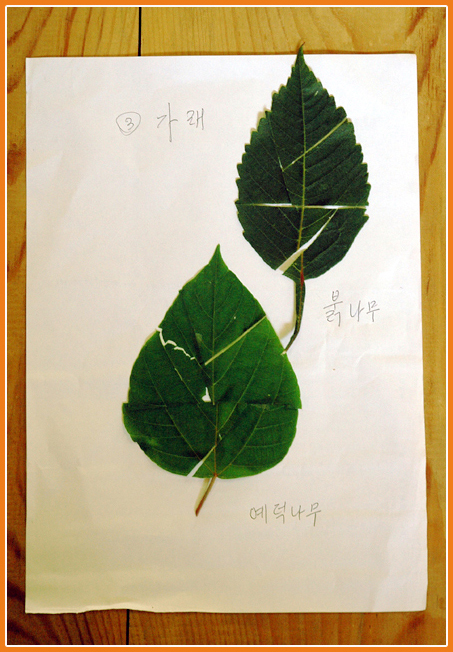 생태체험-달마산에는 사람들이 삽니다.
달마산에는 고라니 토끼 꿩 들이 삽니다.
달마산에는 수많은 벌레와 곤충들이 삽니다.
달마산에는 가재 반딧불이도 삽니다.

수많은 살아 있는 것들이 함께 숨쉬는 곳,
그곳에 한문학당 아이들이 있습니다.
그곳에서 아이들은 달마산을 훑고 다니며 체험을 했습니다.
