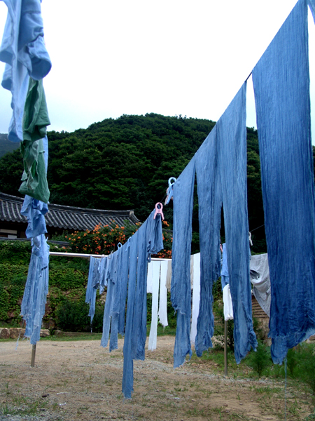 천연염색 시간~-쪽 염색을 합니다.

